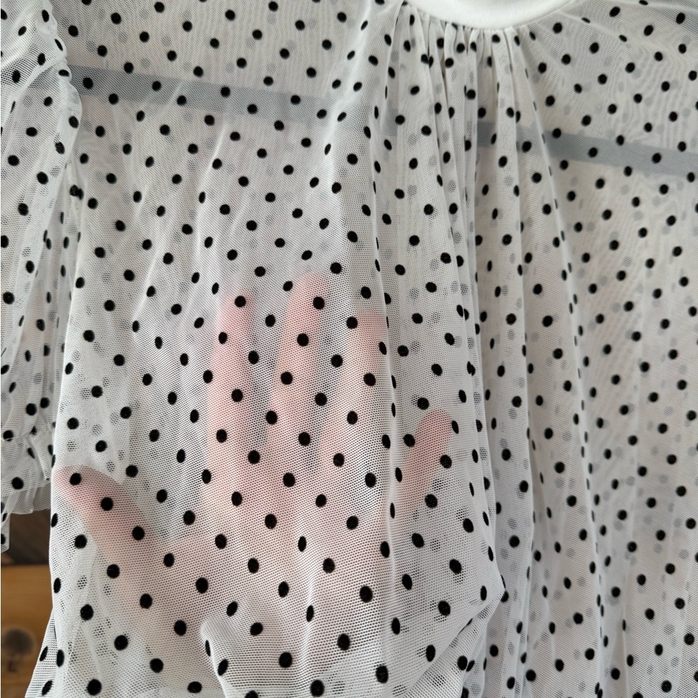 Sheer Polka Dot Crop Top - White and Black - Picture 2 of 8